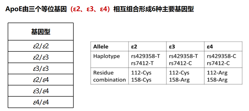 1690082693932256.png 1690082646843.png